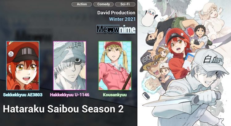 Hataraku Saibou Season 2